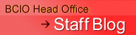 BCIO Head Office Staff Blog